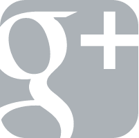 Google+ icon